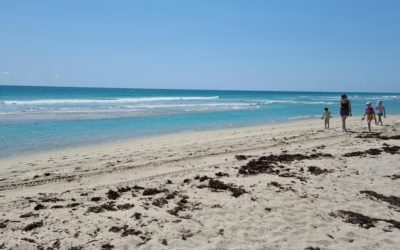 Palm Beach