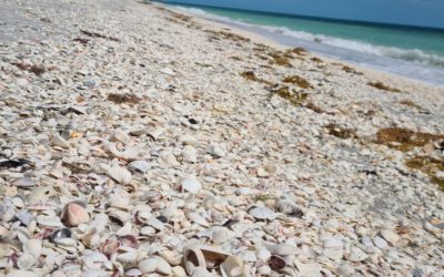 Sanibel Island