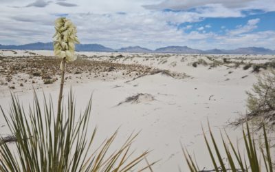 White Sands National Park