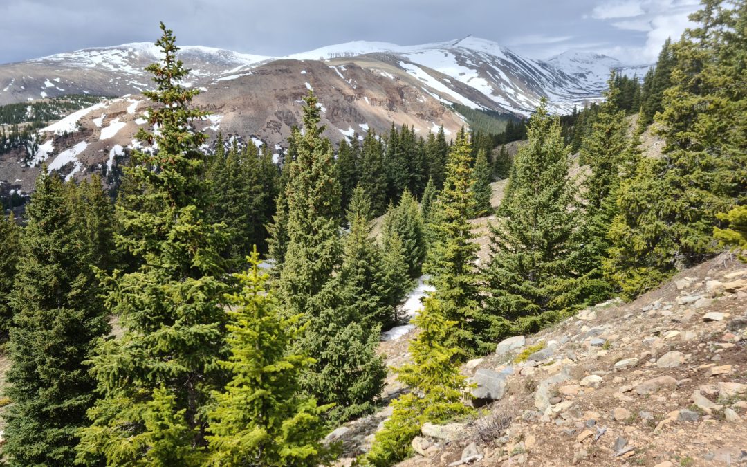 Break au Colorado…