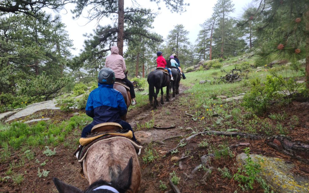 Estes Park