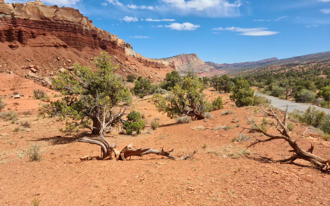 Capitol Reef National Park