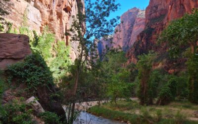 Zion National Park