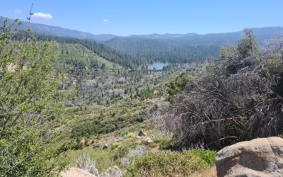 Kings Canyon National Park