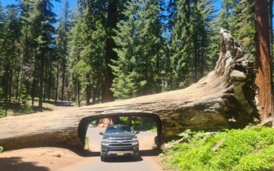 Sequoia National Park