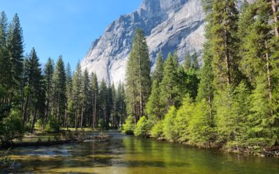 Yosemite National Park