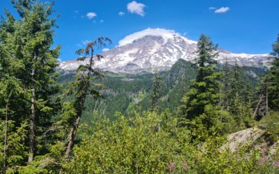 Mount Rainier National Park